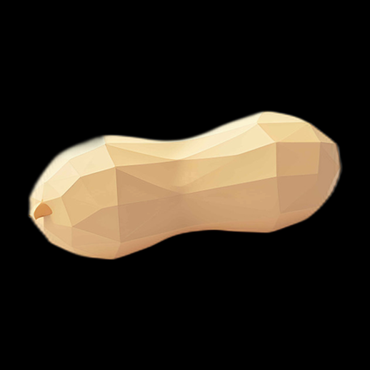 Cacahuète 3D Low Poly