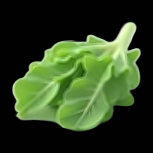 Salade Laitue 3D verte fraiche