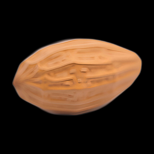 Amande - Modèle 3D texturé
