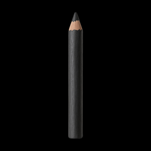 Crayon noir 3D stylisé