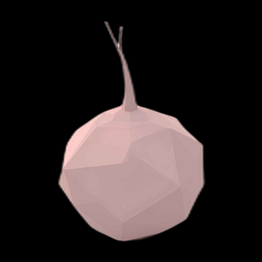Navet 3D Low Poly Rose