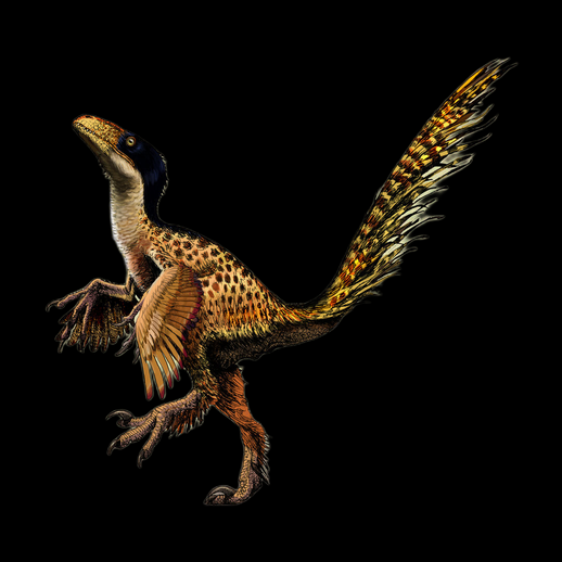 Dinosaure velociraptor 3D gratuit avec plumes detaillees