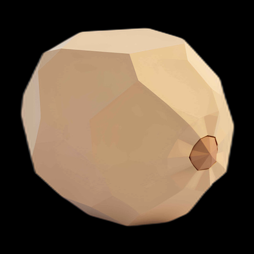 Asset 3D de Noix de Macadamia