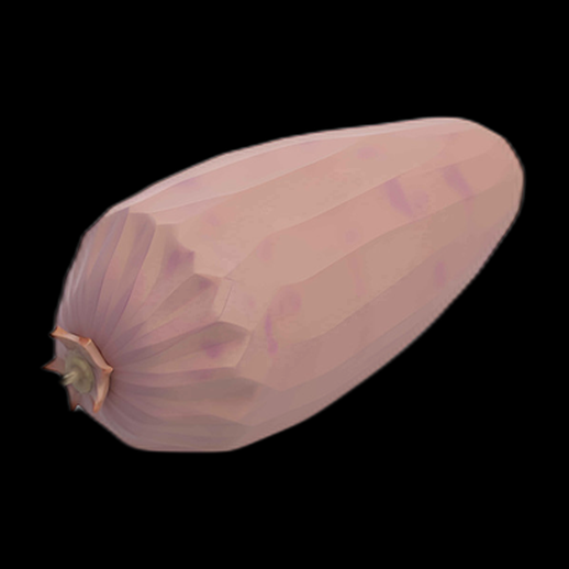 Asset 3D d'échalote stylisée