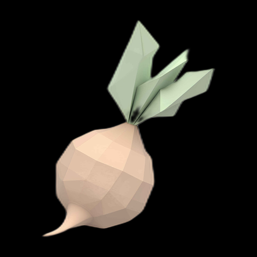 Navet 3D Low Poly
