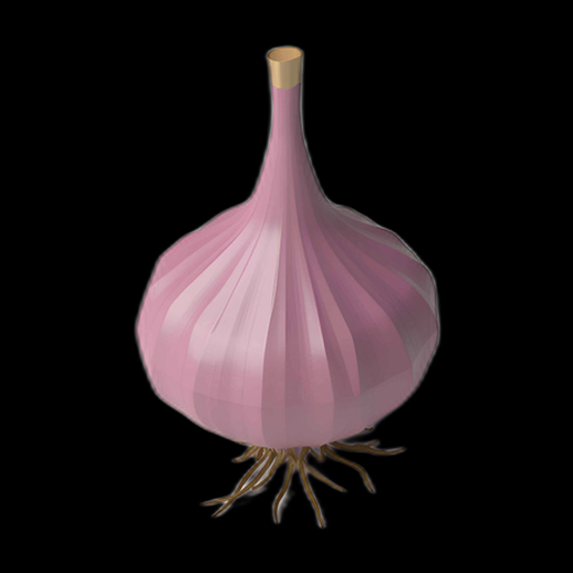 Asset 3D : Tête d'ail rose