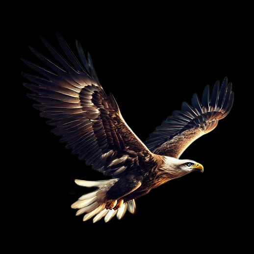 Aigle royal en vol modele 3D gratuit