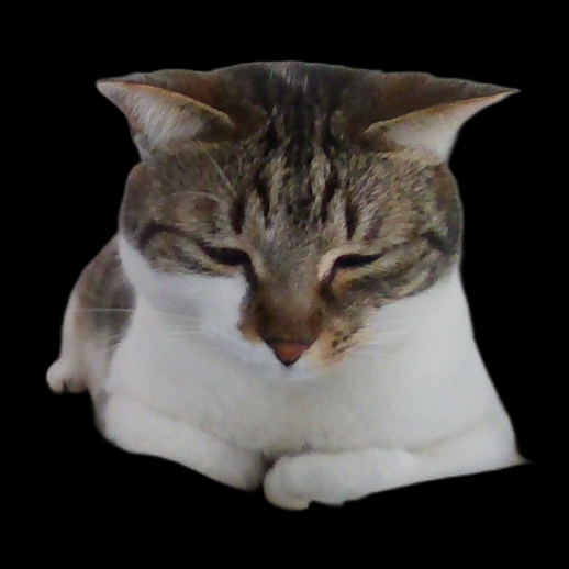 Chat domestique realiste 3D gratuit allonge - modele 3D gratuit