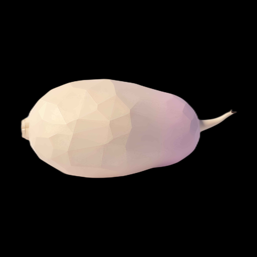Navet 3D Low Poly