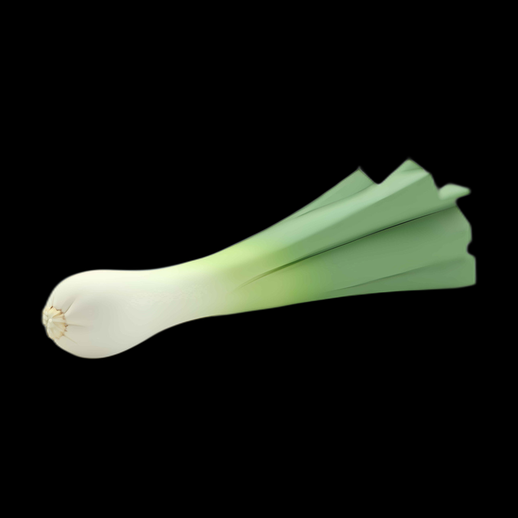Asset 3D d'un poireau frais