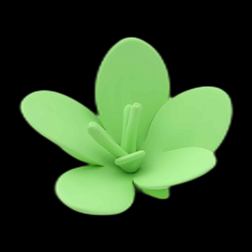 Succulente verte stylisée en 3D
