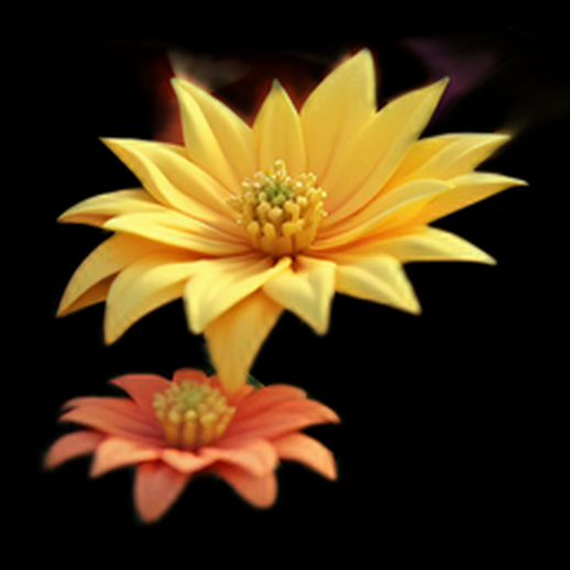 Dahlia Jaune et Orange 3D