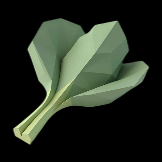 Chou frisé low poly 3D