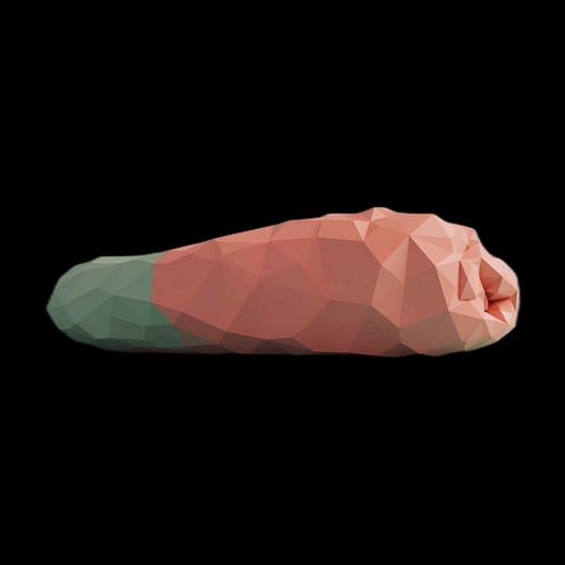 Poing Polygonale Modélisé en 3D - modele 3D gratuit