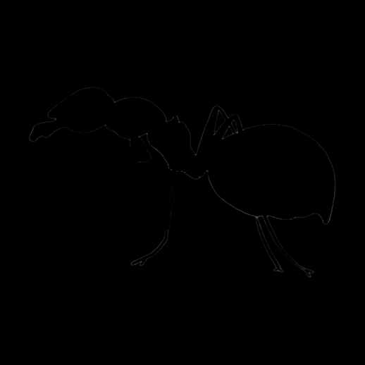 Fourmi 3D gratuit modele insecte detaille - modele 3D gratuit