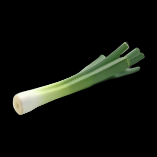 Poireau 3D réaliste