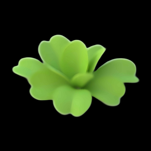 Pistie stratiotes 3D verte