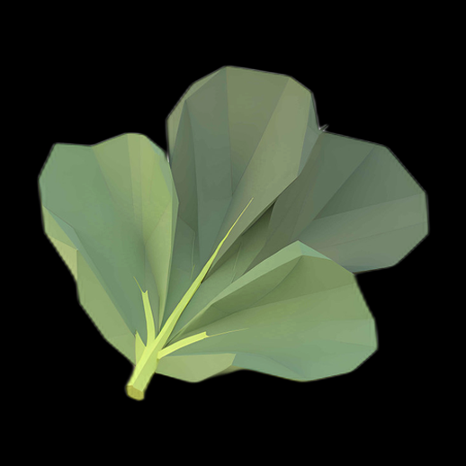 Feuille Low Poly Verte Claire