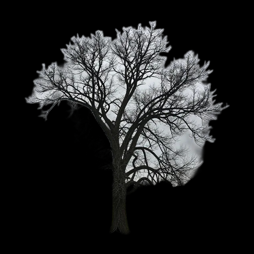 Arbre hivernal 3D gratuit sans feuilles realiste