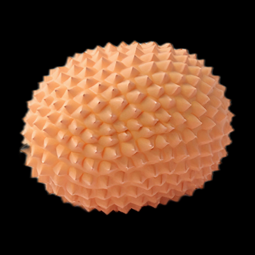 Modèle 3D d'un durian stylisé