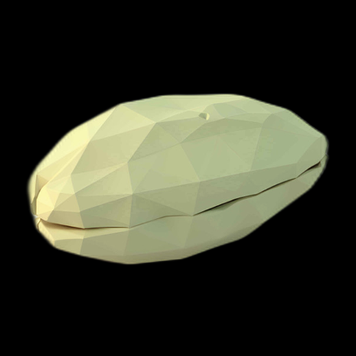 Cacahuète 3D low poly