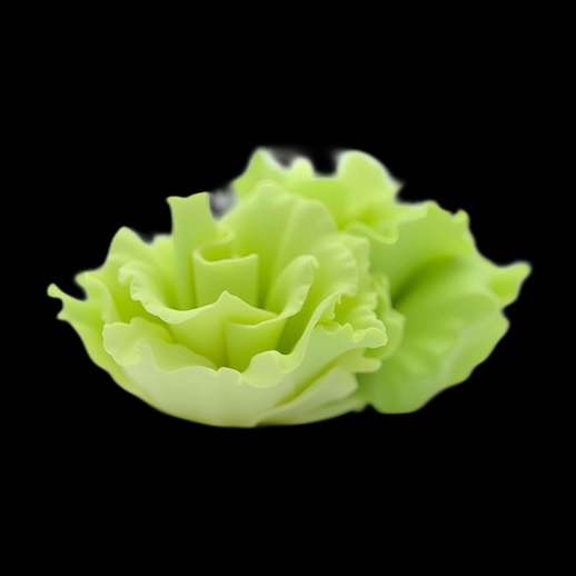 Salade Romaine 3D détaillée