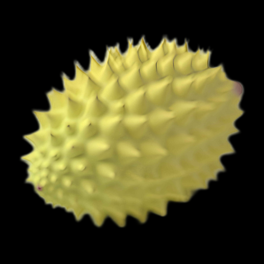 Modèle 3D d'oursin jaune