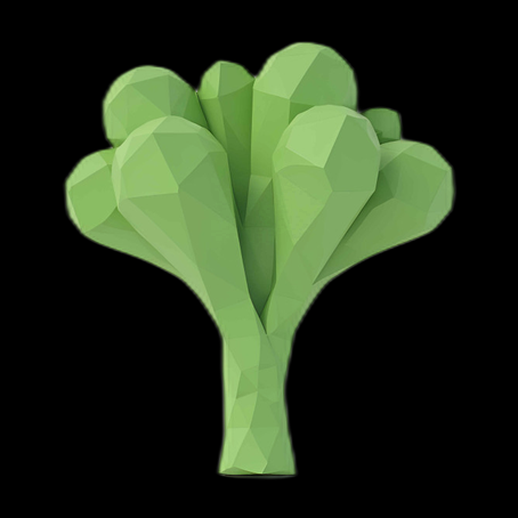 Brocoli stylisé en 3D