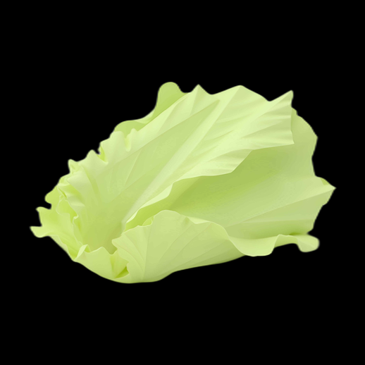 Salade verte 3D réaliste