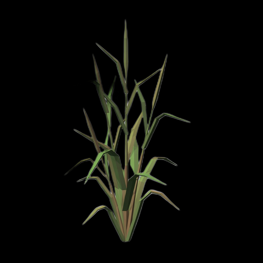 Plante herbe low poly 3D gratuit