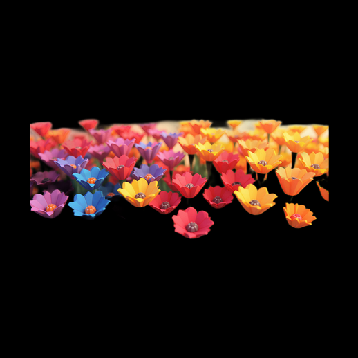 Groupe de fleurs 3D colorées