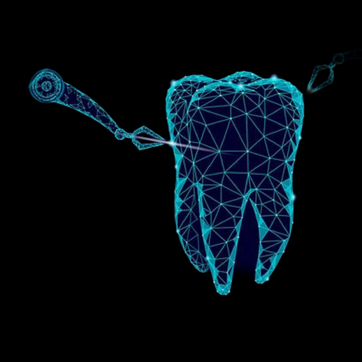 Modele 3D gratuit dent low poly dentaire