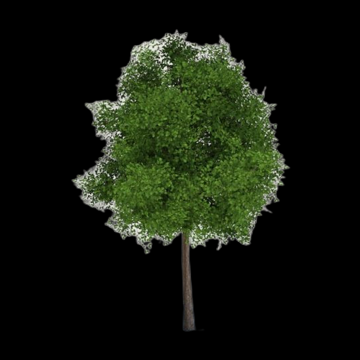 Arbre feuillu 3D gratuit avec feuillage vert dense - modele 3D gratuit