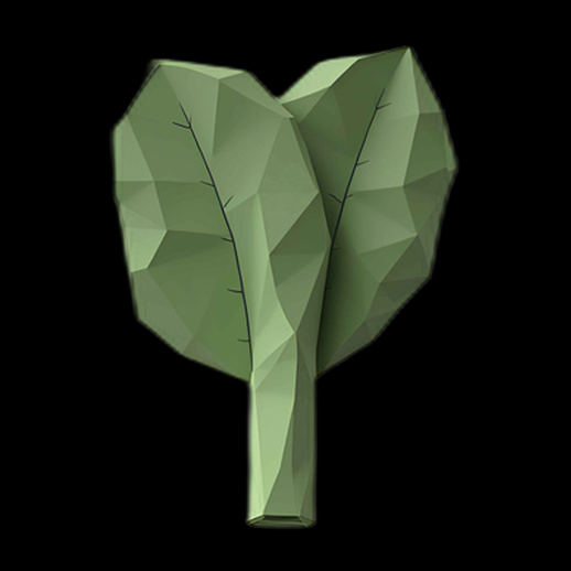 Asset 3D : Plante Low Poly