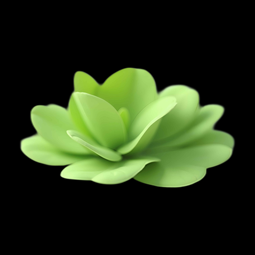 3D Pistia Stratiotes Water Lettuce Model