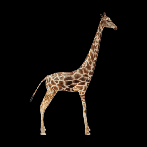 Girafe realiste 3D gratuit animal sauvage