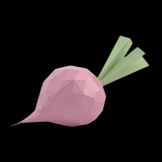 Radis 3D low poly rose