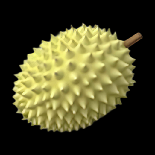 Asset 3D : Durian