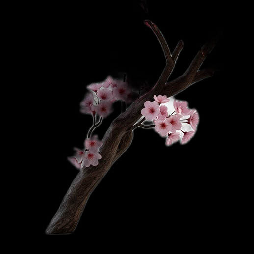 Branche cerisier fleurie 3D gratuit realiste