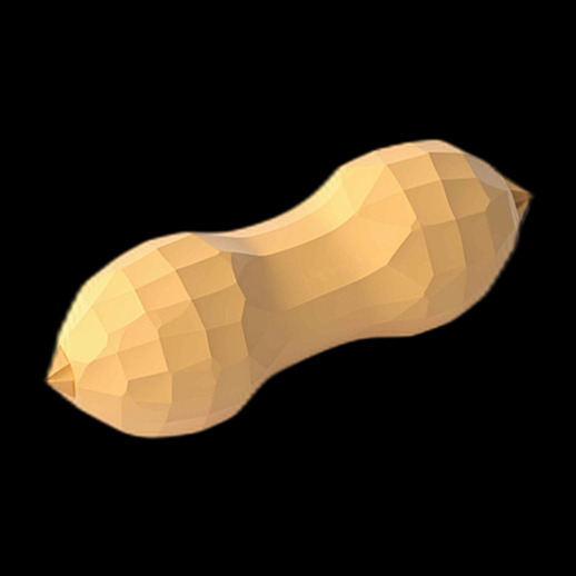 Cacahuète 3D Low Poly