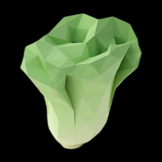 Salade romaine low poly 3D